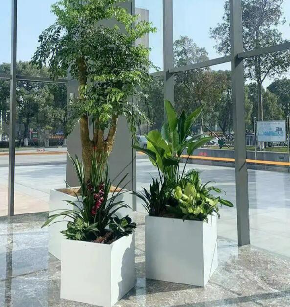 酒店綠植租賃